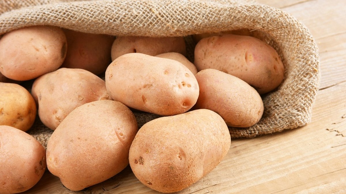 Kartoffel-Geschichte: Der Siegeszug der Teufelsknolle