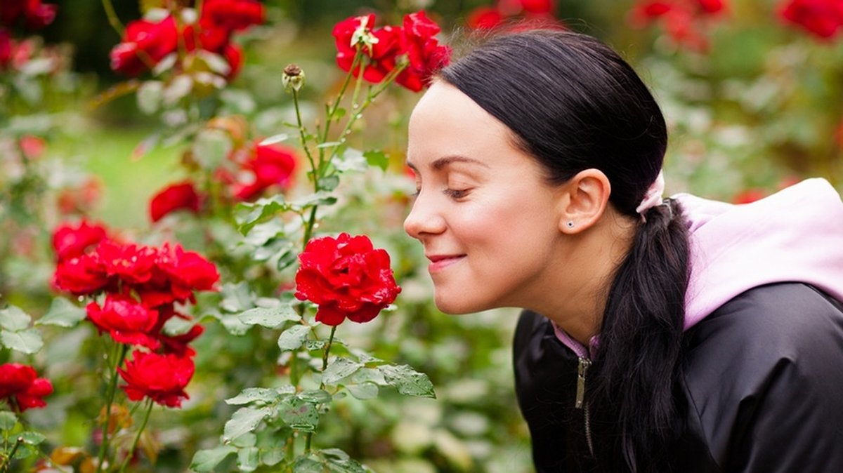 Geruch und Riechen: Wie Duft von der Nase ins Gehirn gelangt