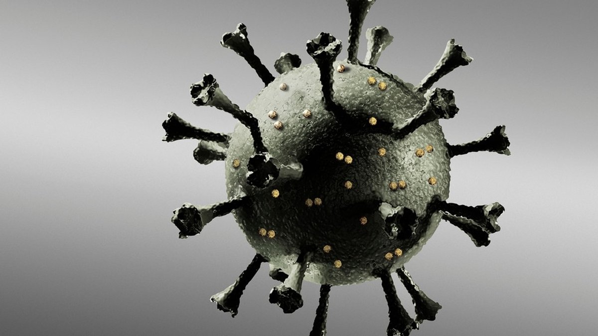 Corona-Pandemie : SARS-Cov-2 und unsere Immunabwehr