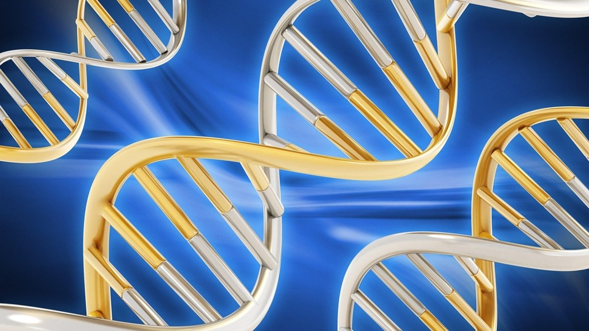 Humanes Genom: Die Entschlüsselung des menschlichen Erbguts