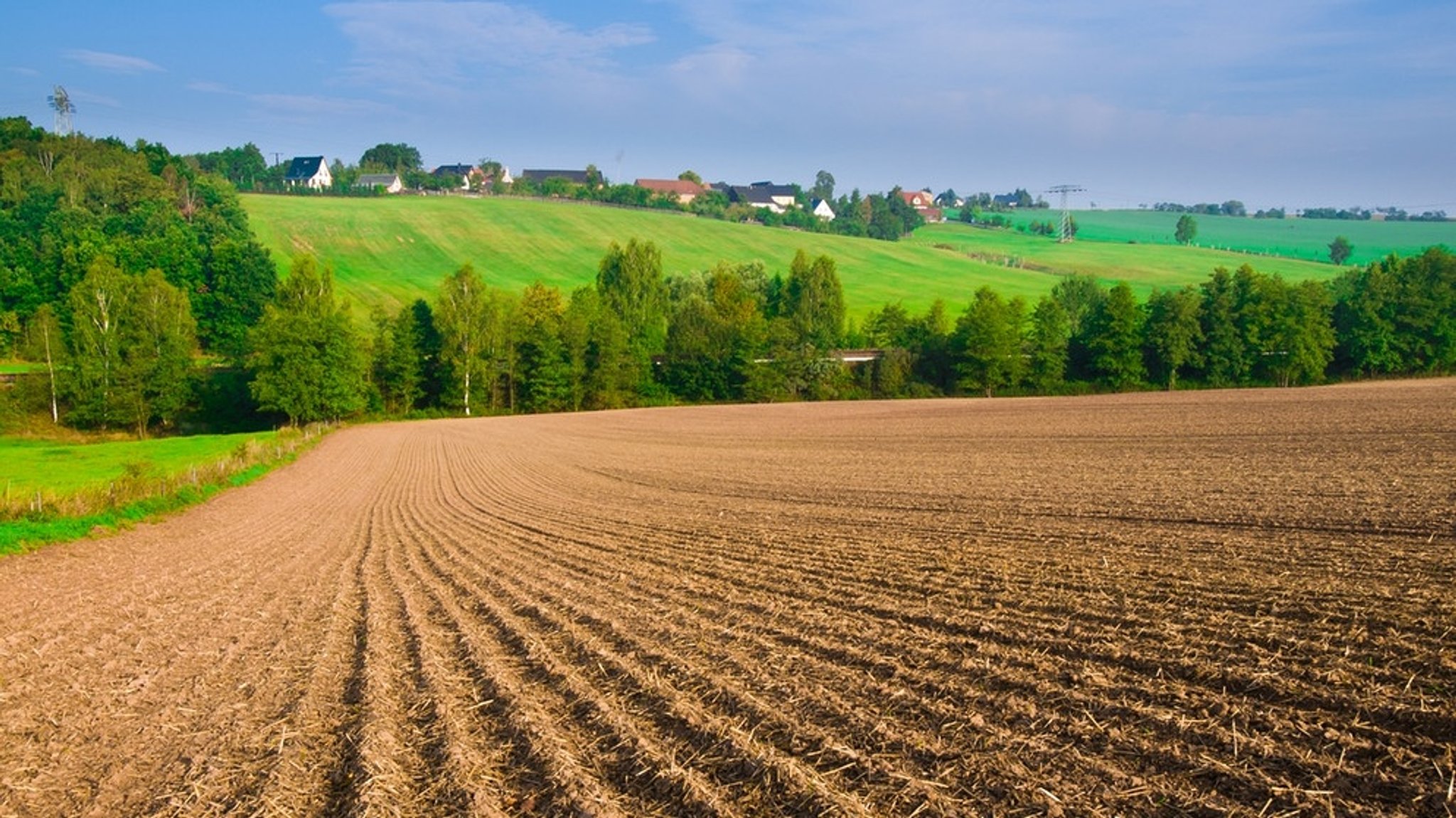 Humus im Boden: Grundlage unseres Lebens