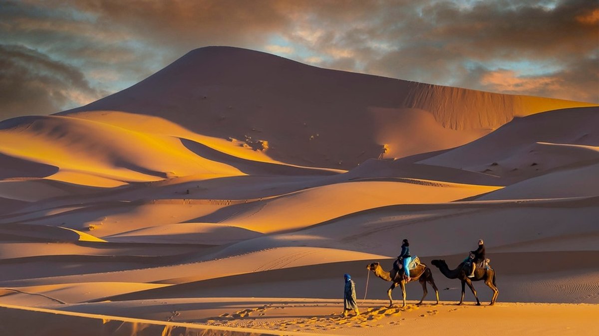 Geschichte der Sahara: Als die Wüste noch voll Wasser war