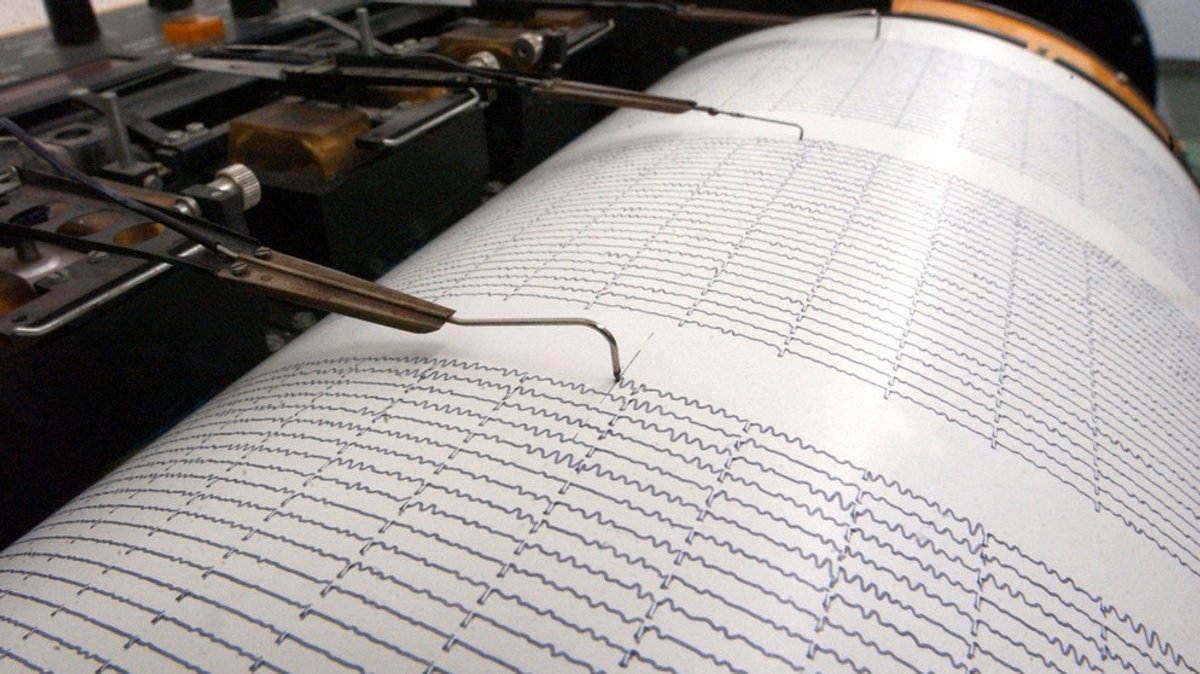 Tiere, Geologie, Monitoring: Die Suche nach einer Erdbeben-Vorhersage