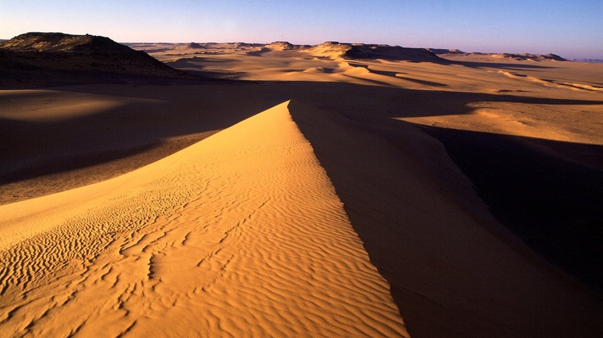 Sahara : Die Königin der Wüste