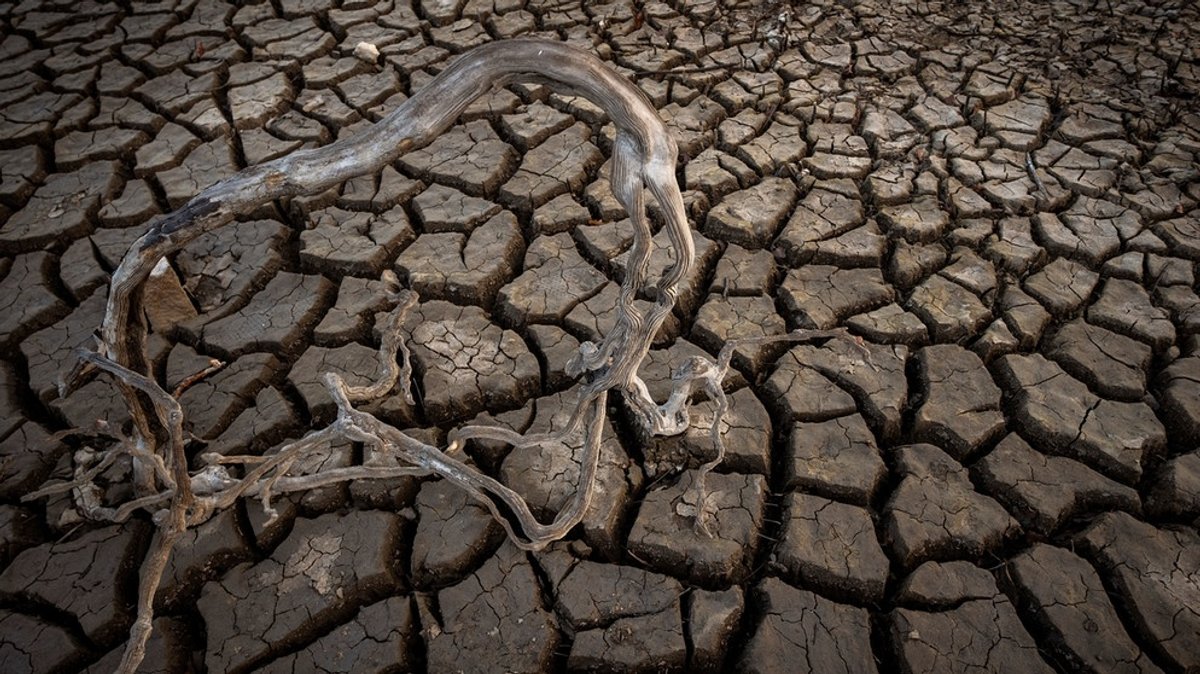 Wüstenbildung: Wie kommt es zur Desertifikation und welche Folgen hat sie?