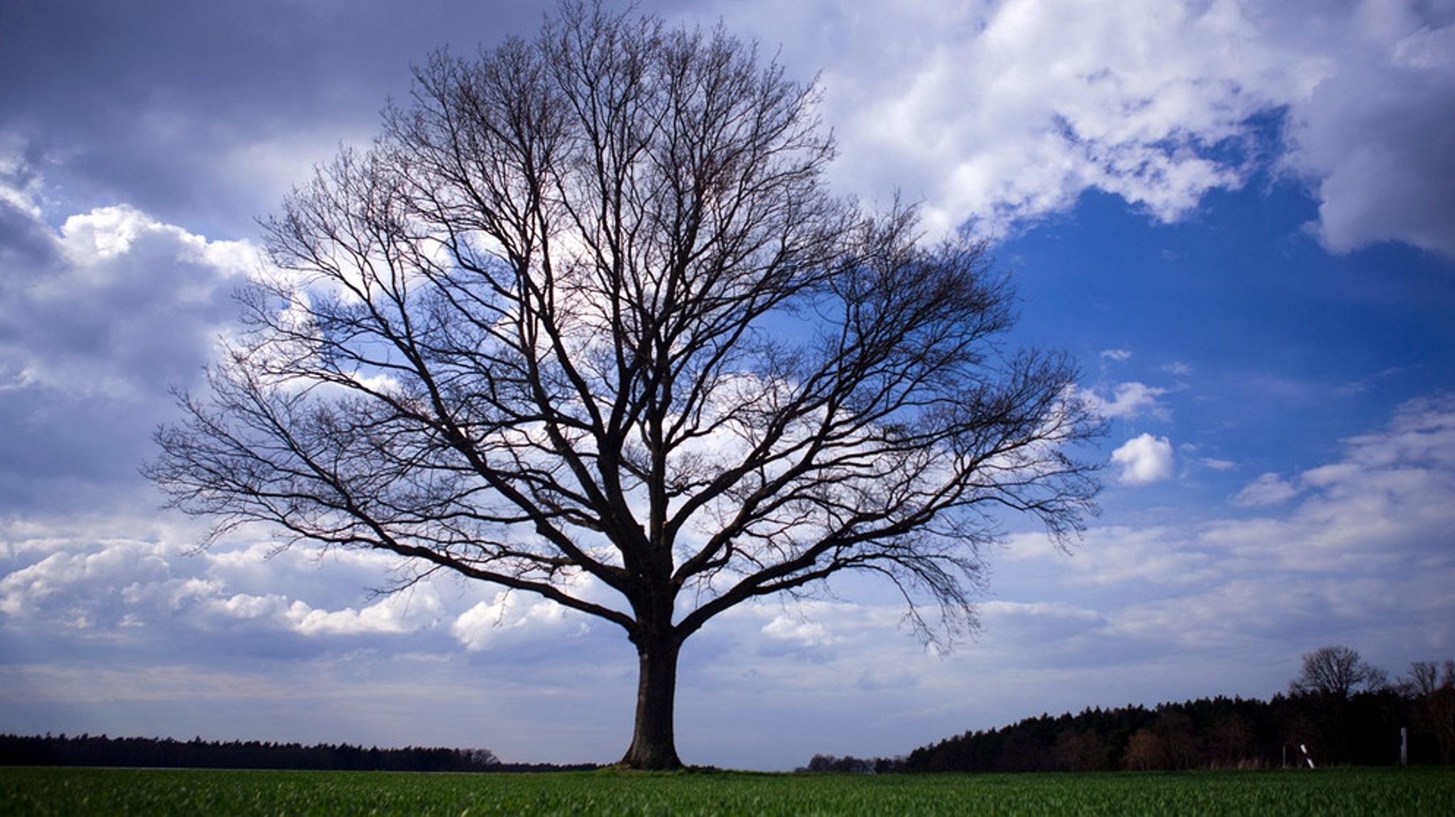 Wunderwerke der Natur