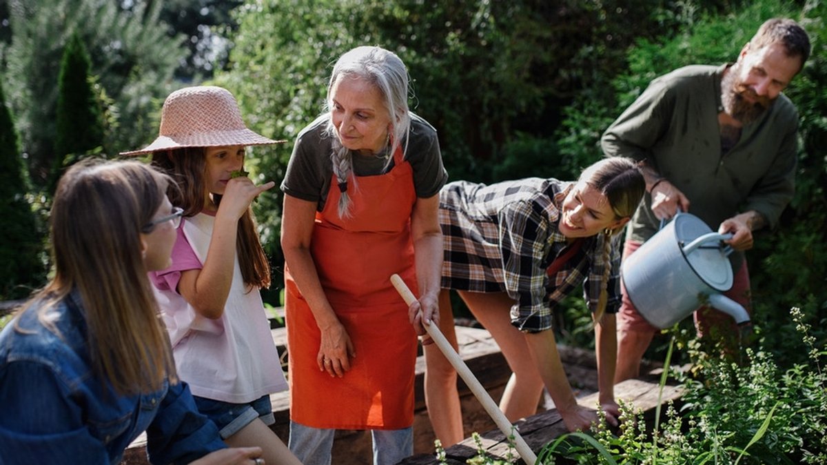 Klimawandel im Garten: Welche Pflanzen Hitze vertragen und wie ihr richtig gießt