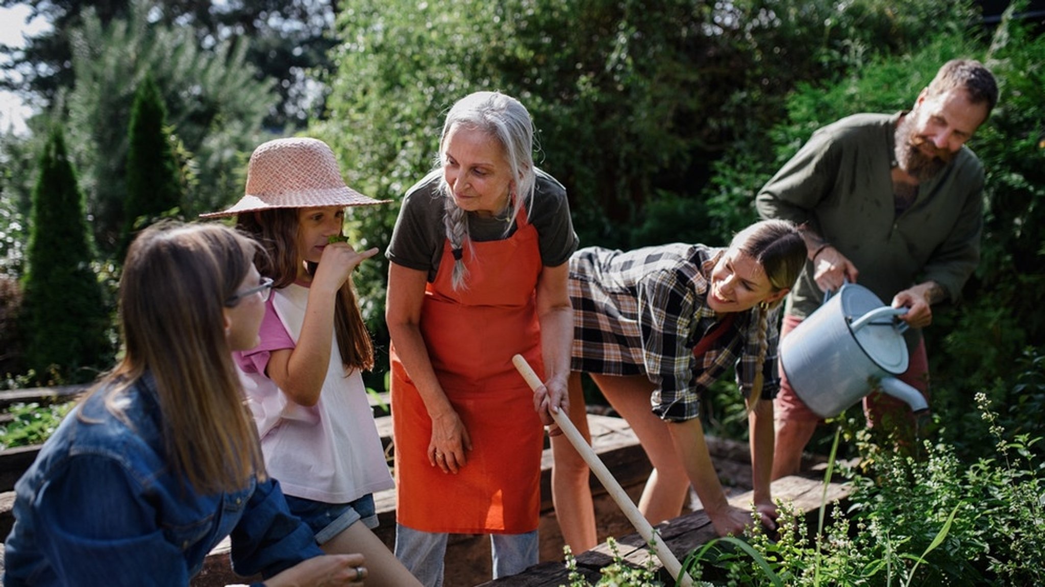 Klimawandel im Garten: Welche Pflanzen Hitze vertragen und wie ihr richtig gießt