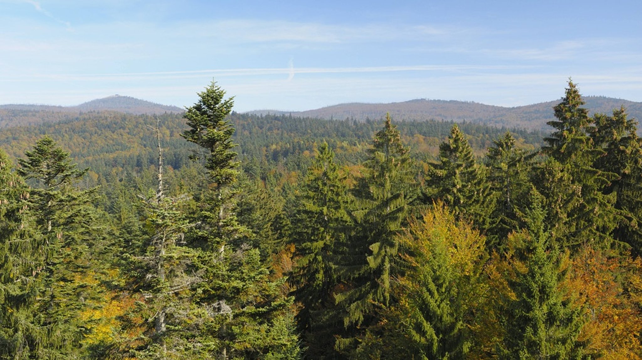 Bayerischer Wald: Der erste Nationalpark Deutschlands