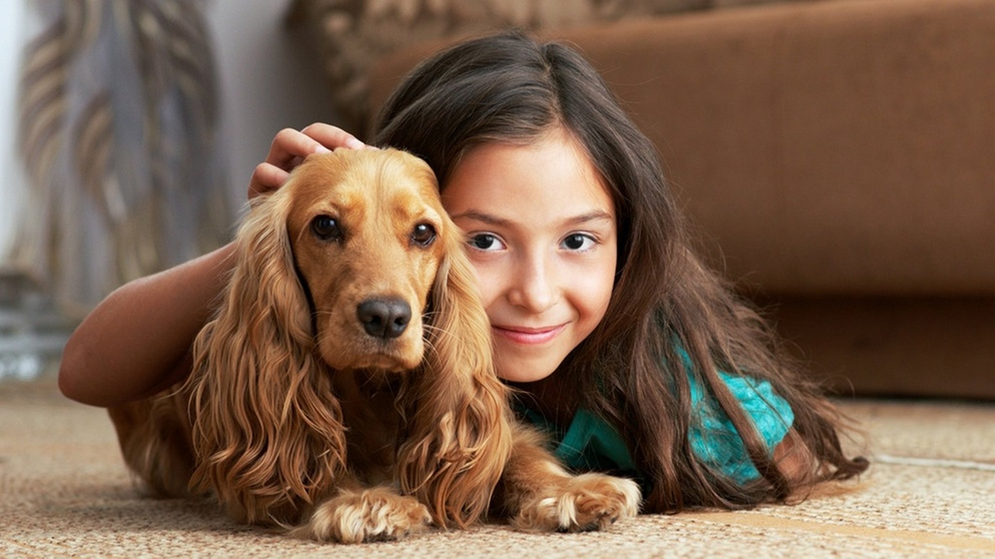 Haustiere: Hund, Katze, Maus - tierische Mitbewohner