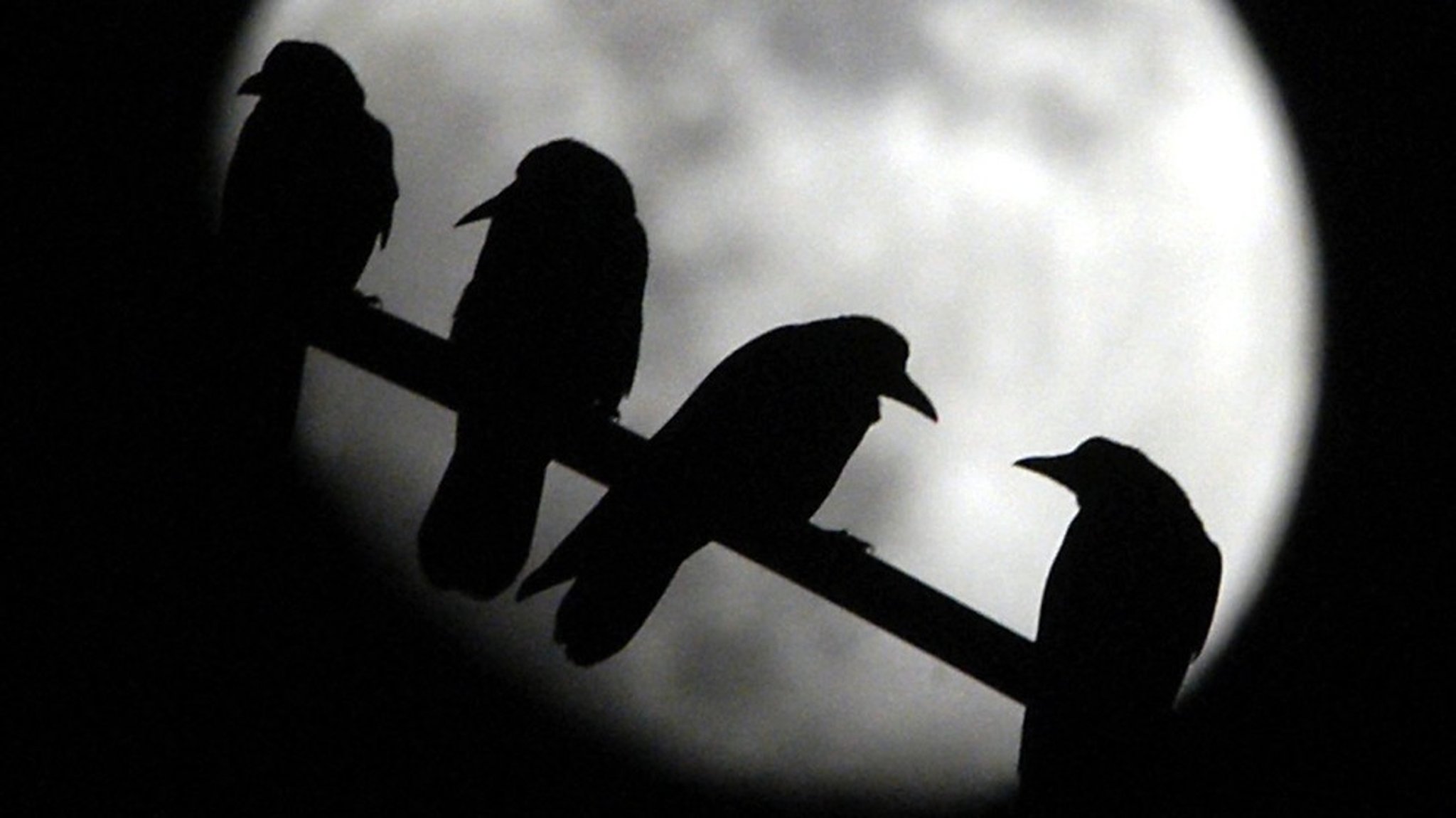 Vollmond im Oktober: Der Mond und seine Reise durch Sternbilder und Mondphasen