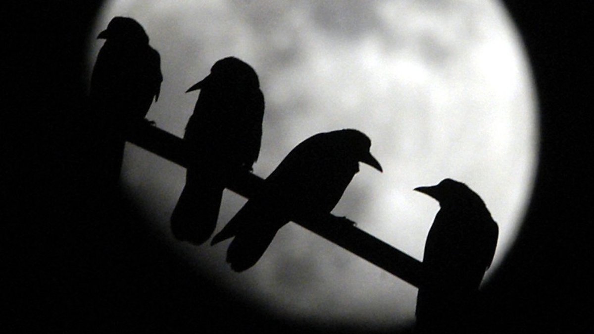 Vollmond im Dezember: Der Mond und seine Reise durch Sternbilder und Mondphasen