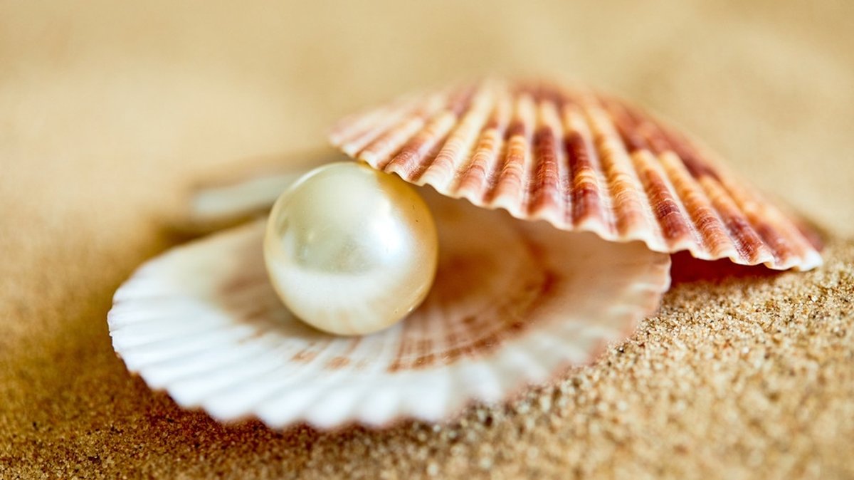 Perlen und Perlmutt: Wenn Muscheln Schmuck produzieren