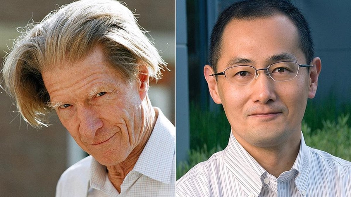 Medizin-Nobelpreis 2012: Von reifen und unreifen Zellen