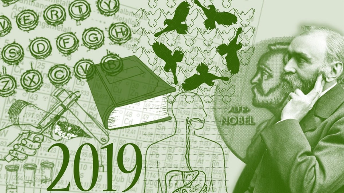 Nobelpreise 2019: Das sind die Nobelpreisträger 2019