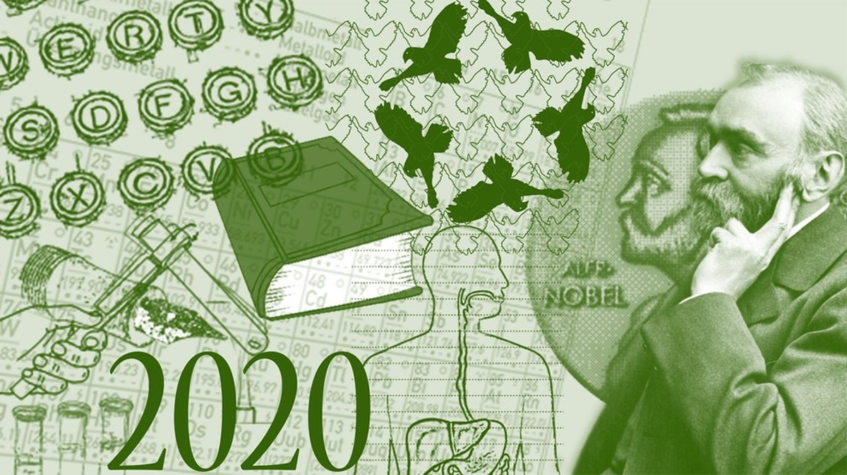 Nobelpreise 2020: Nobelpreise werden überreicht