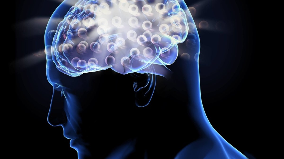 Schaltzentrale Gehirn: Wie tickt unser Gedächtnis?