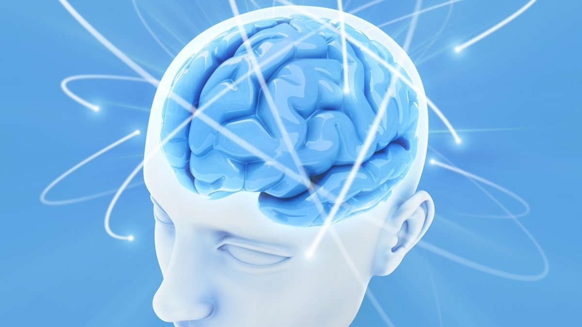 Hirnforschung : Wie und warum sich euer Gehirn verändert