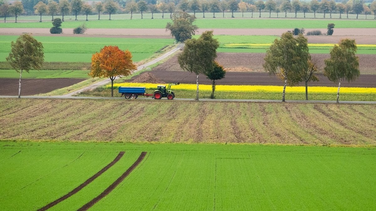 Klimaschutz in der Landwirtschaft : Humusaufbau: So wird der Acker zum Kohlenstoffspeicher  
