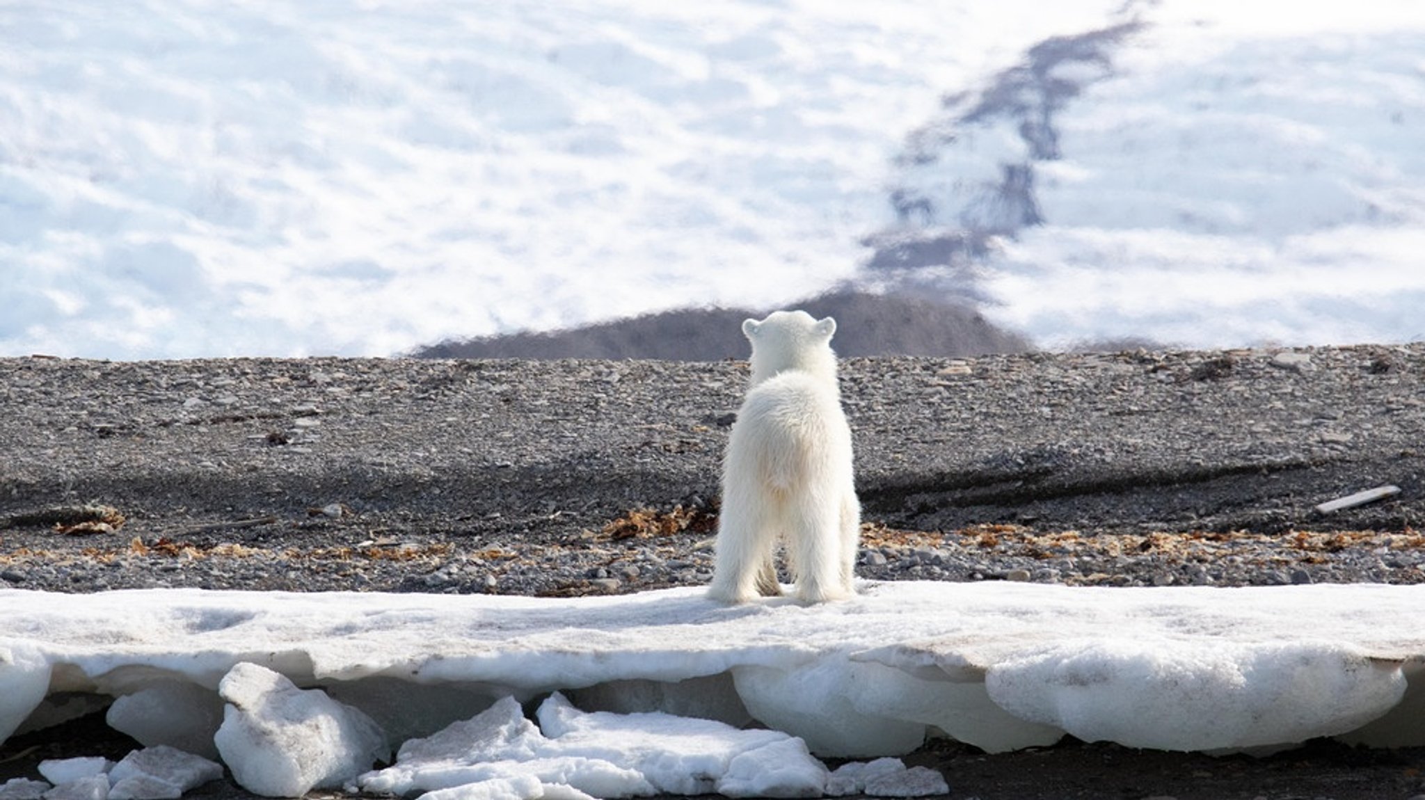 Kipp-Punkte im Klimasystem: Wenn sich die Klimakrise nicht mehr aufhalten lässt