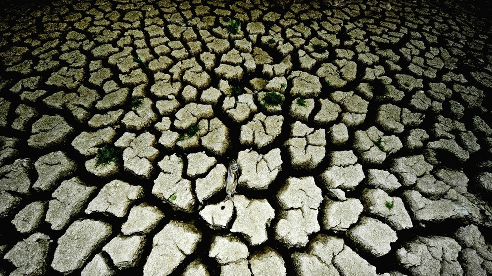 Folgen des Klimawandels 