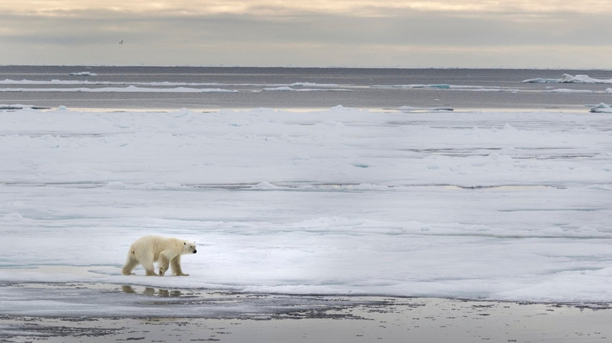 Klima-Prognose: Länder, die dem Klimawandel am besten trotzen