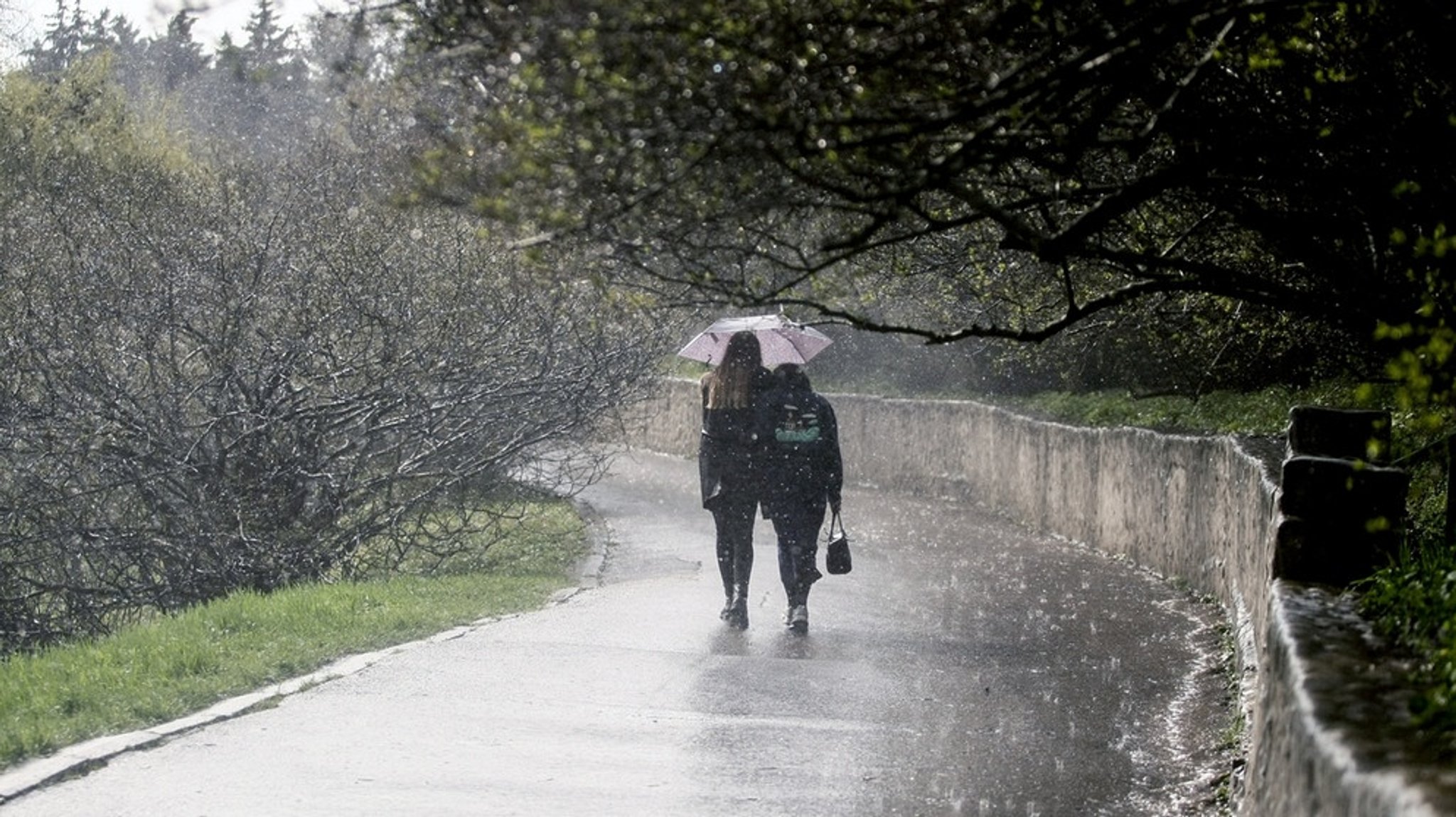 Regen und Niederschlag: Vom Regenschauer zum Regenbogen