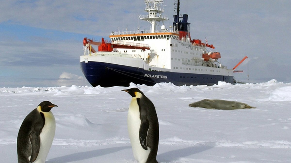 Forschungsschiff Polarstern: Der Forschungseisbrecher unterwegs in Arktis und Antarktis
