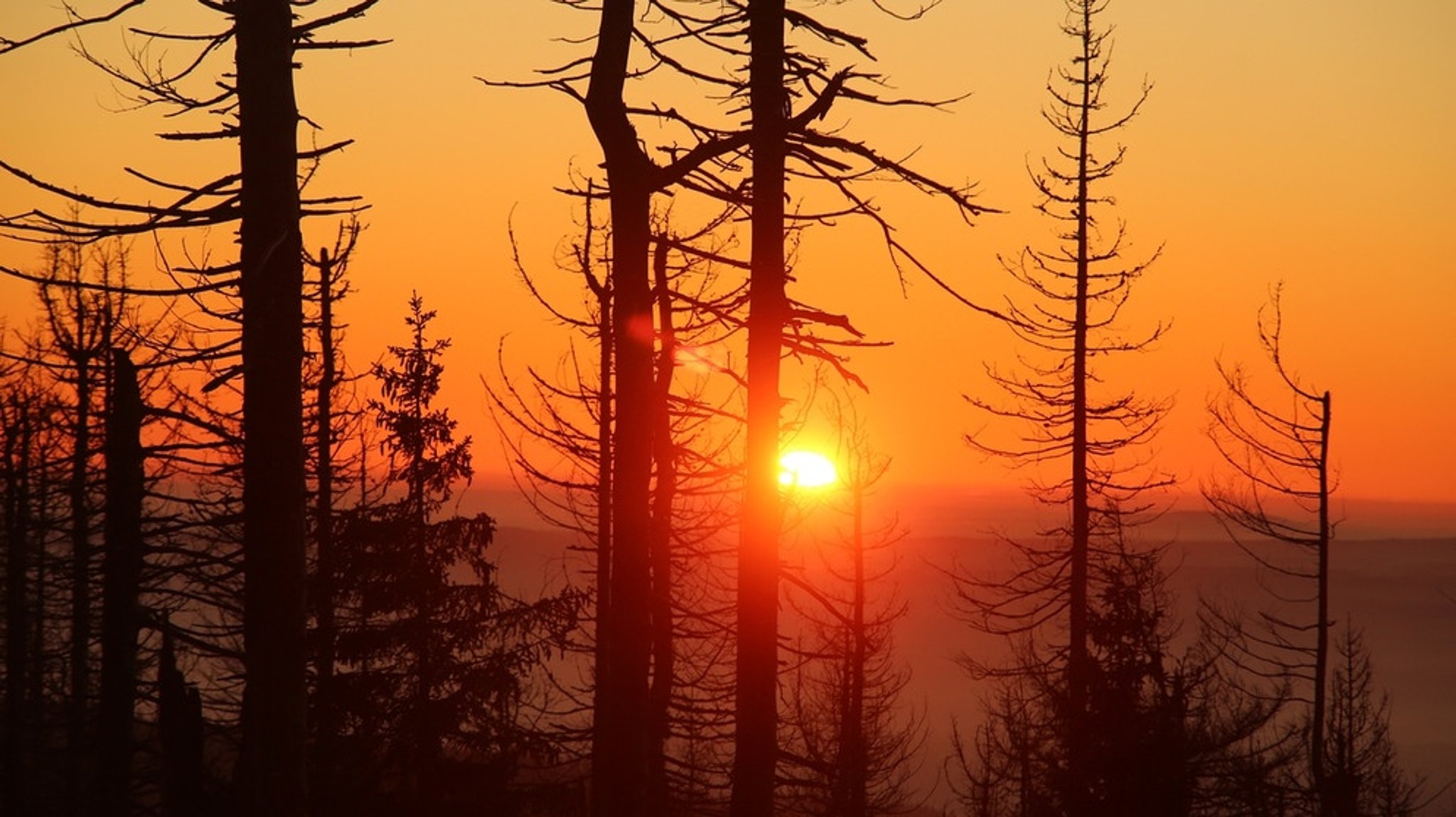 Extremwetter durch Klimawandel: Mehr Hitzewellen, Starkregen und Stürme