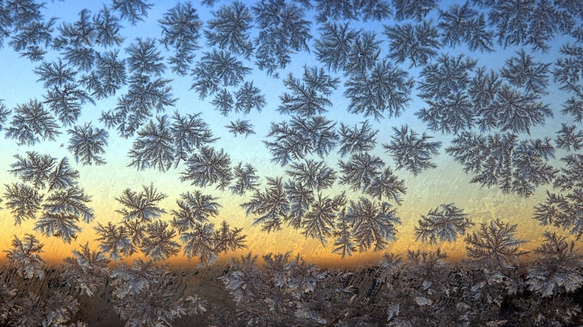 Eiskristalle im Winter: Wie bilden sich Eisblumen und Schneeflocken?