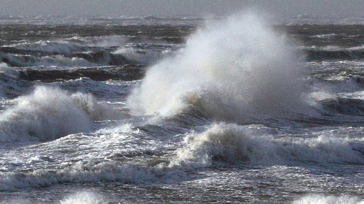 Energiequelle Meer: Strom aus Wellen und Gezeiten