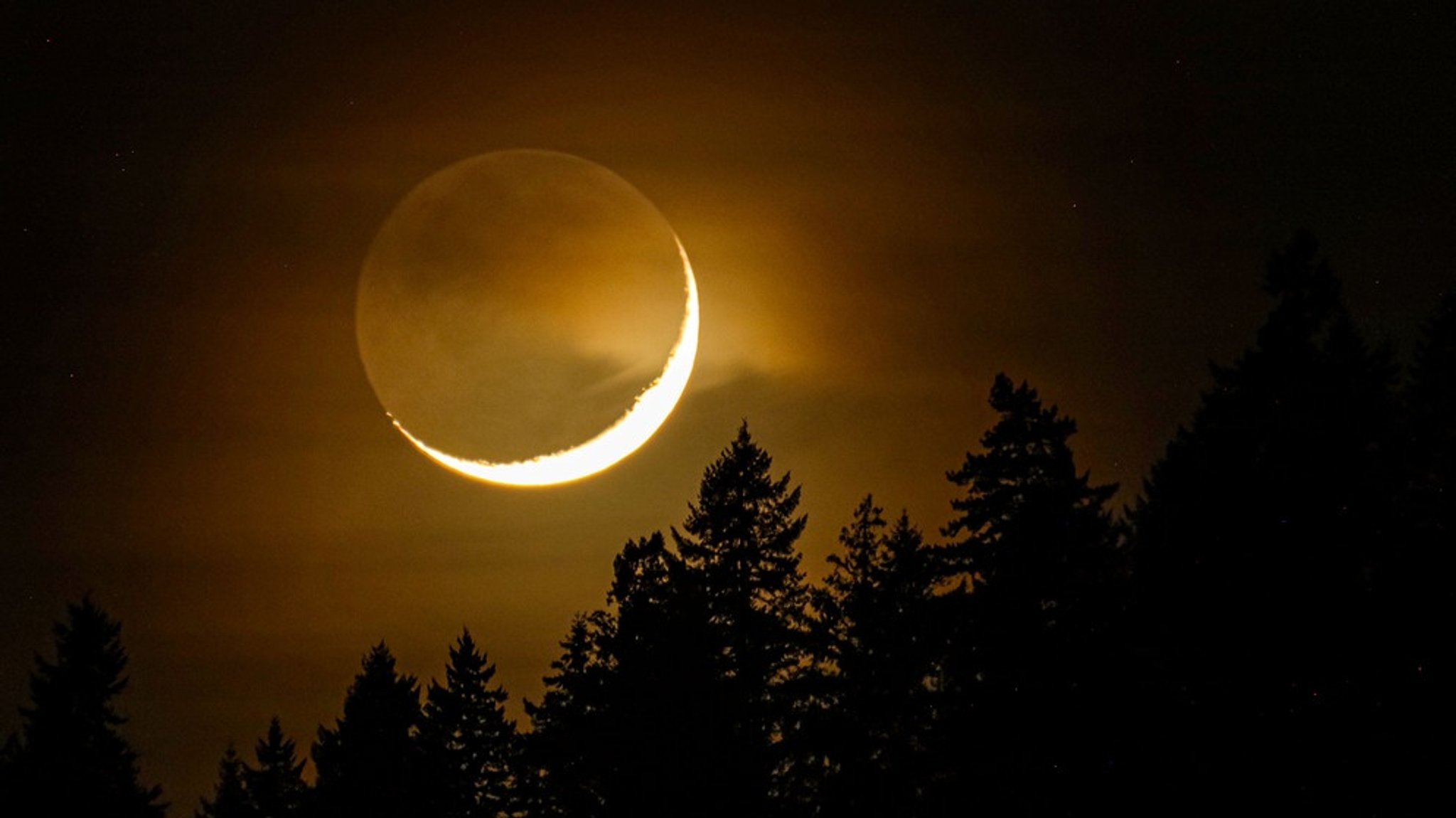 Fotos unserer Leser: Vollmond oder Sichel - der Mond von allen Seiten