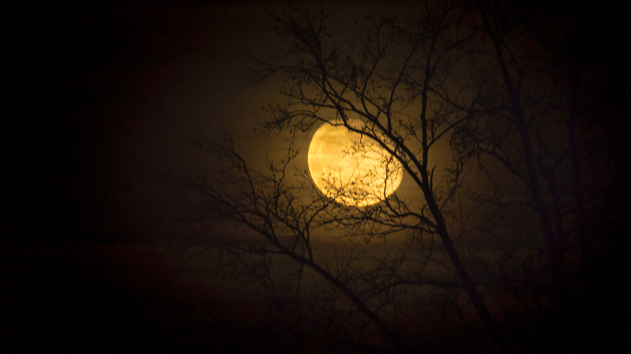 Fotos unserer Leser: Vollmond oder Sichel - der Mond von allen Seiten