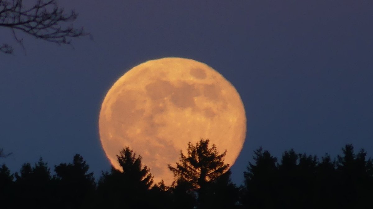 Fotos unserer Leser: Vollmond oder Sichel - der Mond von allen Seiten