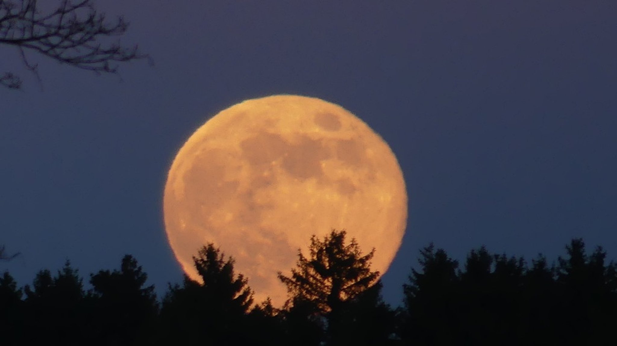 Fotos unserer Leser: Vollmond oder Sichel - der Mond von allen Seiten