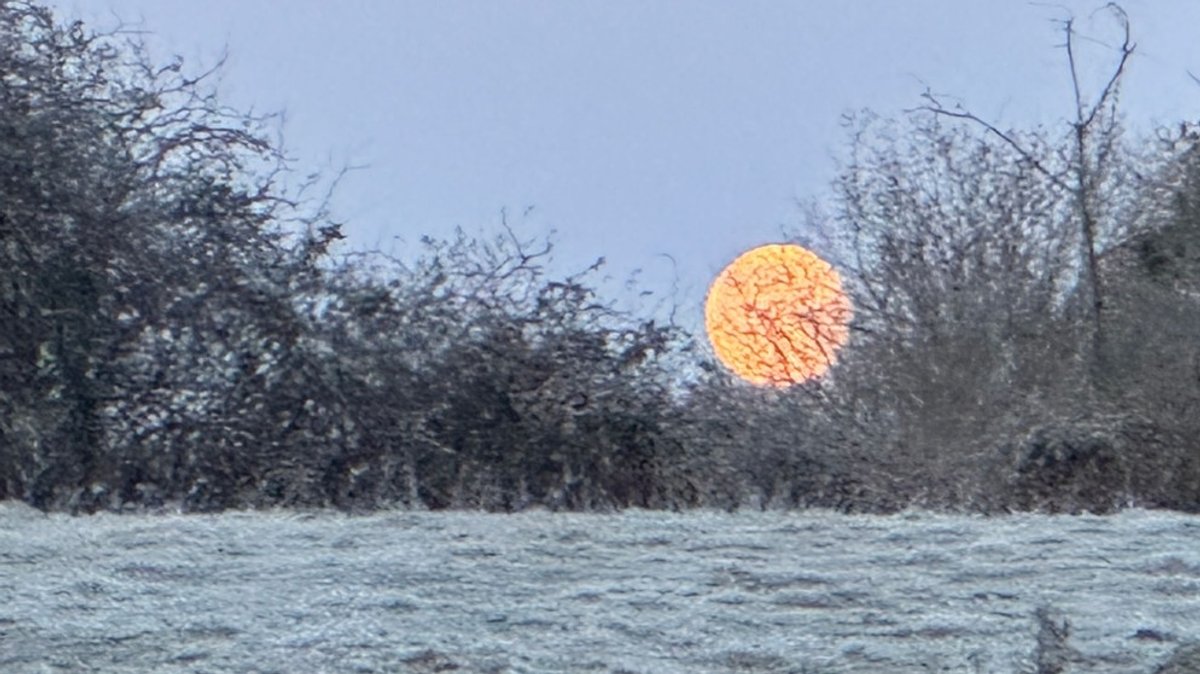 Fotos unserer Leser: Vollmond oder Sichel - der Mond von allen Seiten