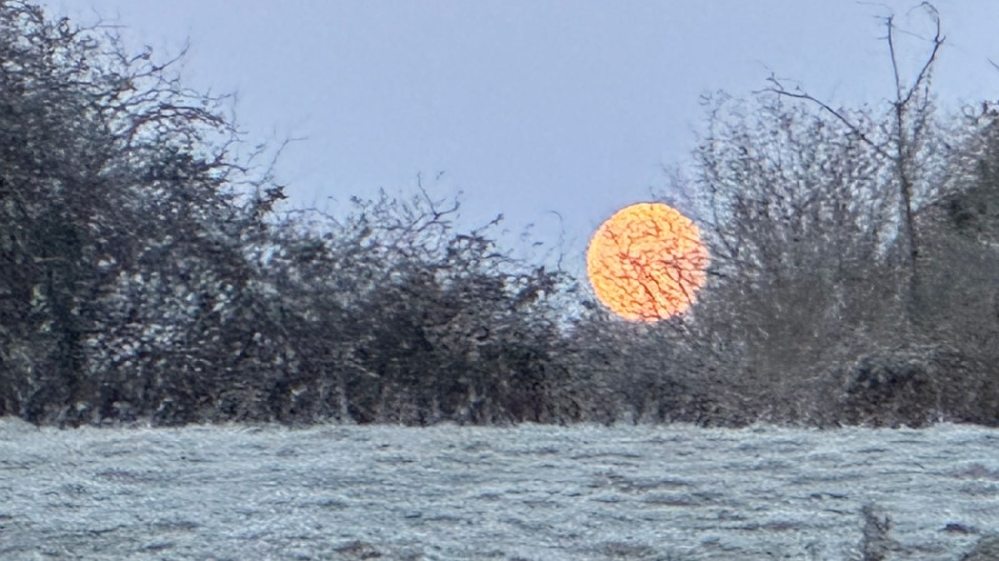 Fotos unserer Leser: Vollmond oder Sichel - der Mond von allen Seiten