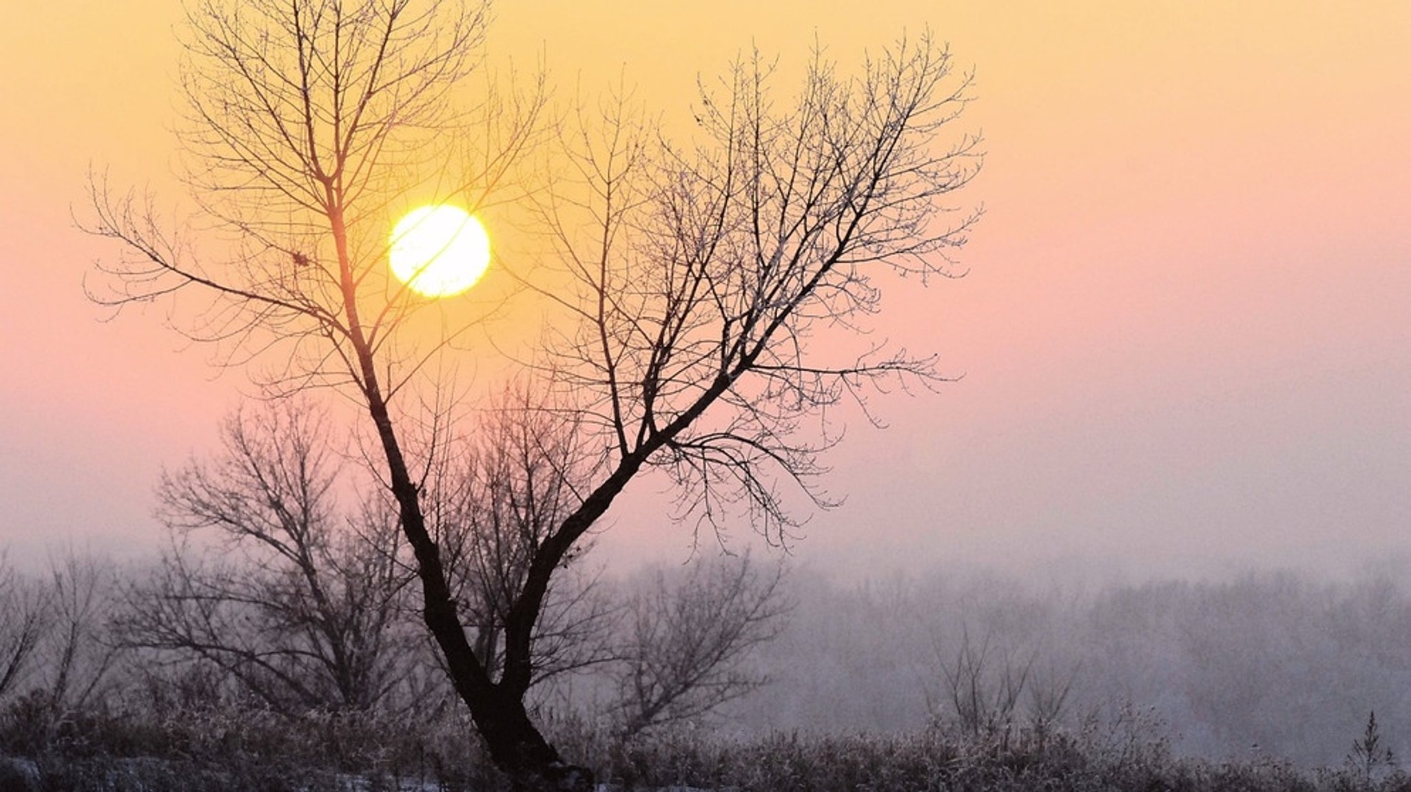 Jahreszeiten und Sonnenwenden: Warum die Sonne mal hoch, mal tief steht