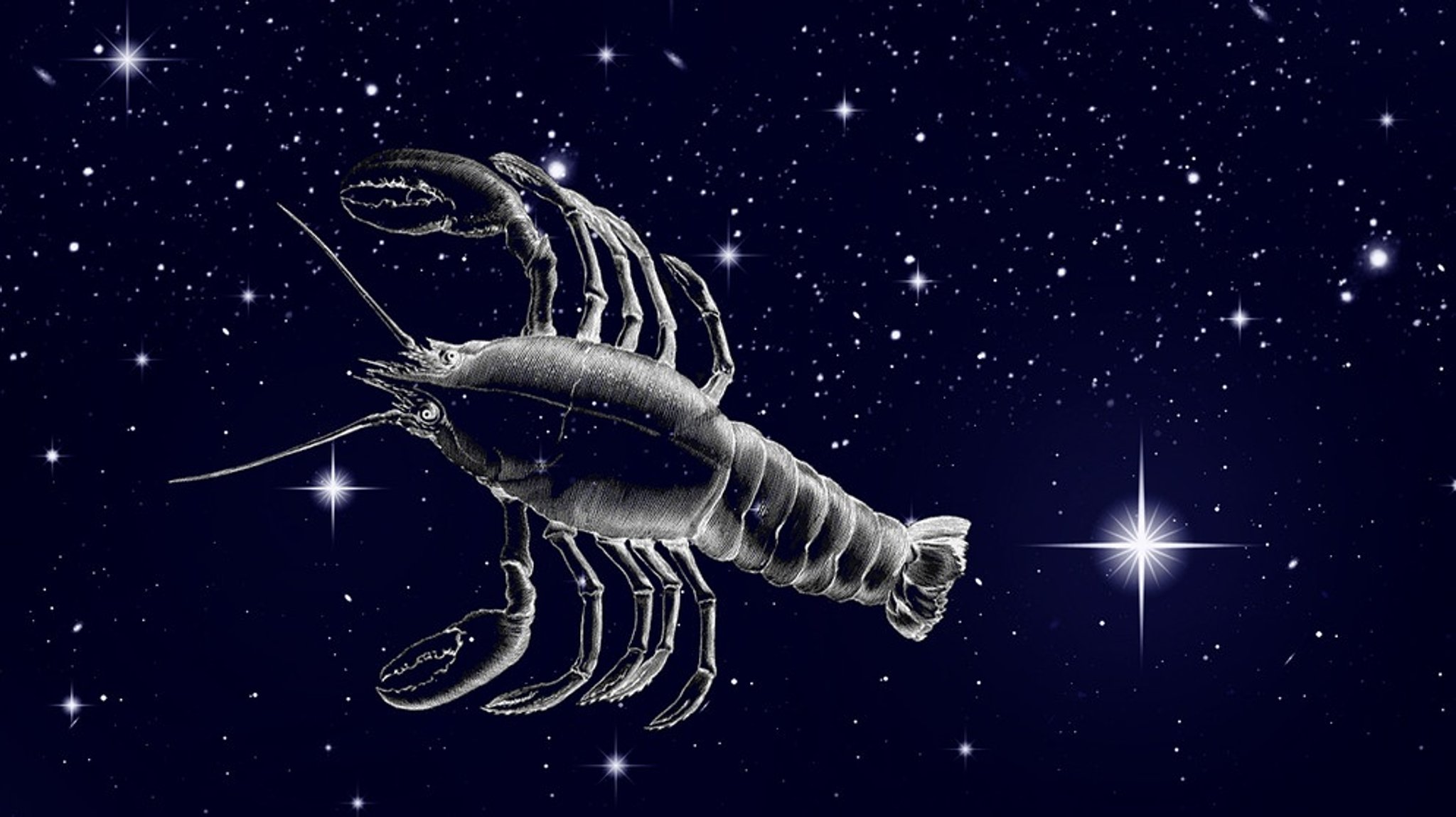 Sterne & Sternbilder im März: Der Krebs, ein kleines, kniffeliges Sternbild