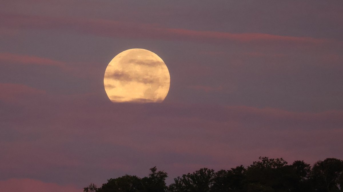 Fotos unserer Leser: Vollmond oder Sichel - der Mond von allen Seiten