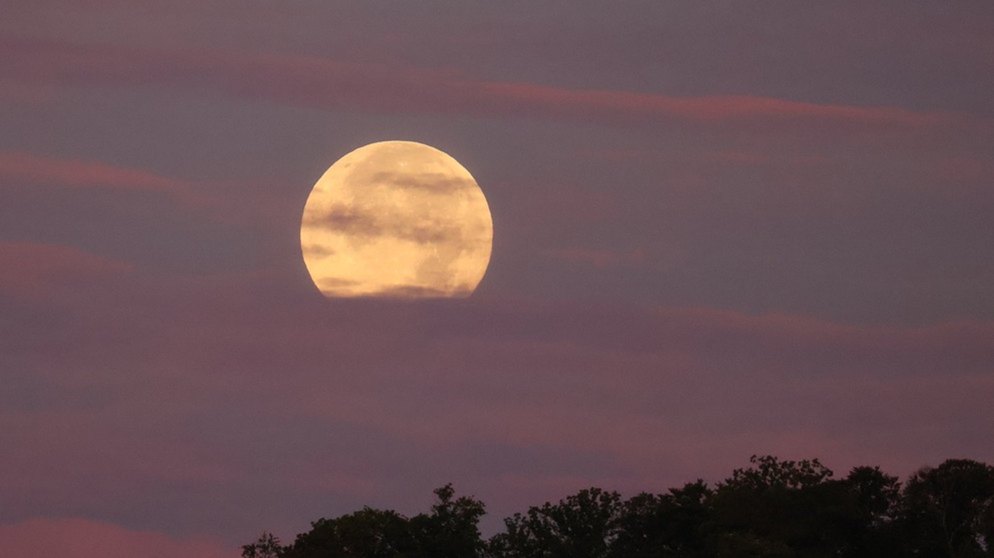Fotos unserer Leser: Vollmond oder Sichel - der Mond von allen Seiten
