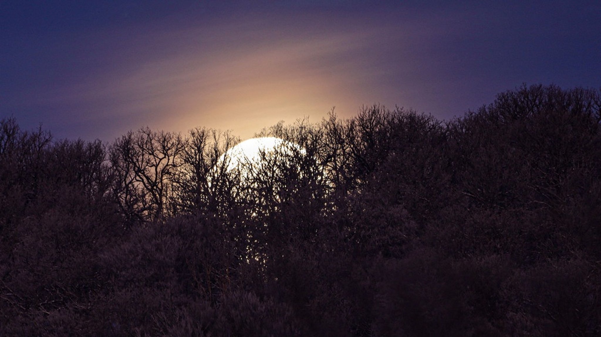 Fotos unserer Leser: Vollmond oder Sichel - der Mond von allen Seiten