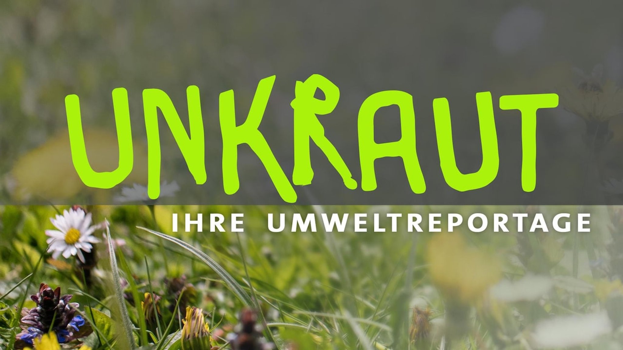UNKRAUT - alle verfügbaren Videos - hier anschauen