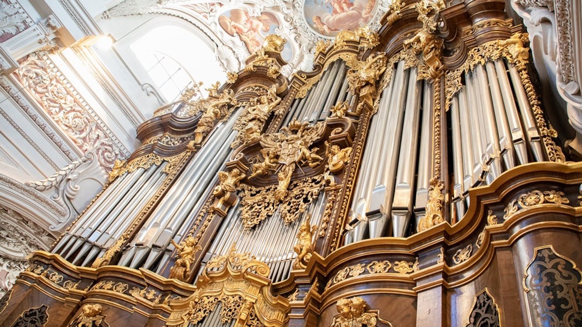 Instrument des Jahres 2021: Zehn kuriose Fakten über die Orgel