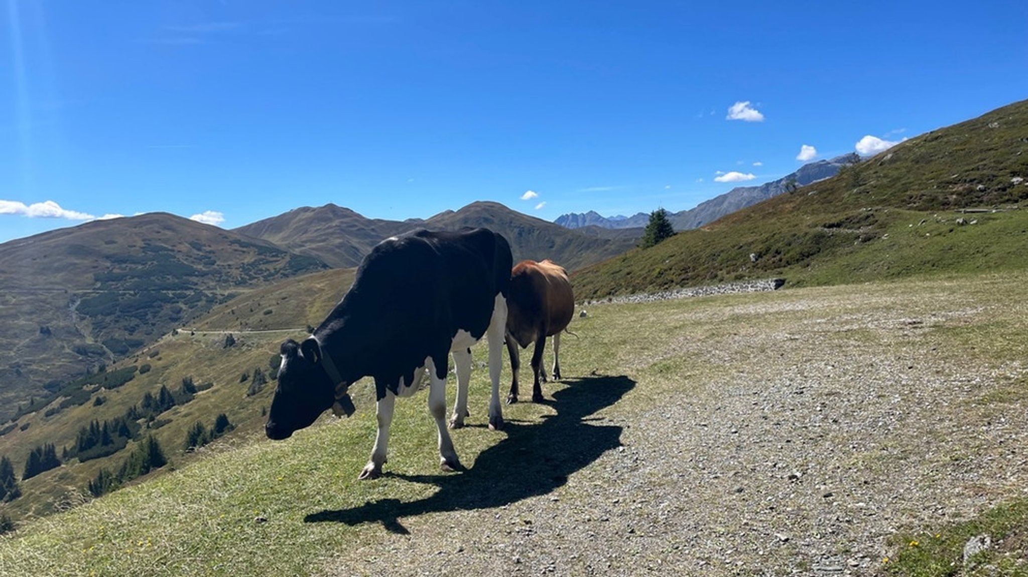 Auf den Sattelberg am Brenner : Herbsttour auf einen Grenzberg zwischen Nord- und Südtirol