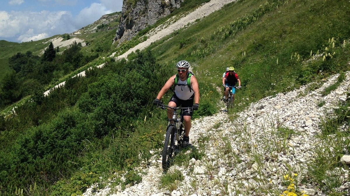 Mountainbike und Trekking: Mit Pedalen bergauf und -ab oder nur geradeaus