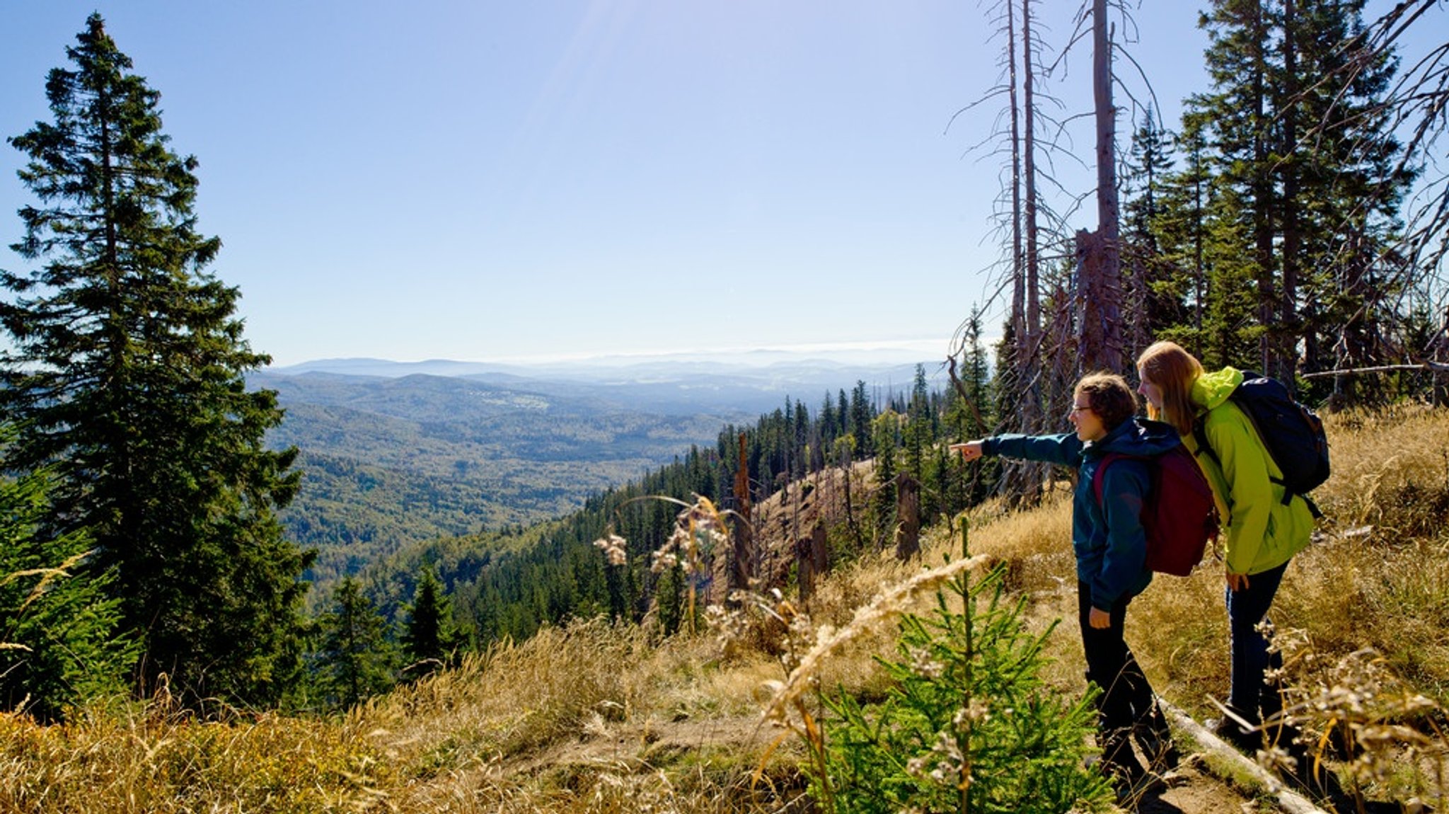 Rückblick und Ausblick auf Deutschlands ersten Nationalpark: 50 Jahre Nationalpark Bayerischer Wald