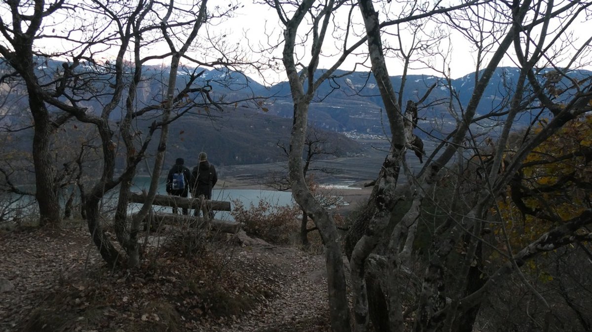 Speicherbecken in den Naturwäldern bei Montiggl : In Südtirol ist ein Wasserspeicher geplant - zum Preis wertvoller Waldflächen