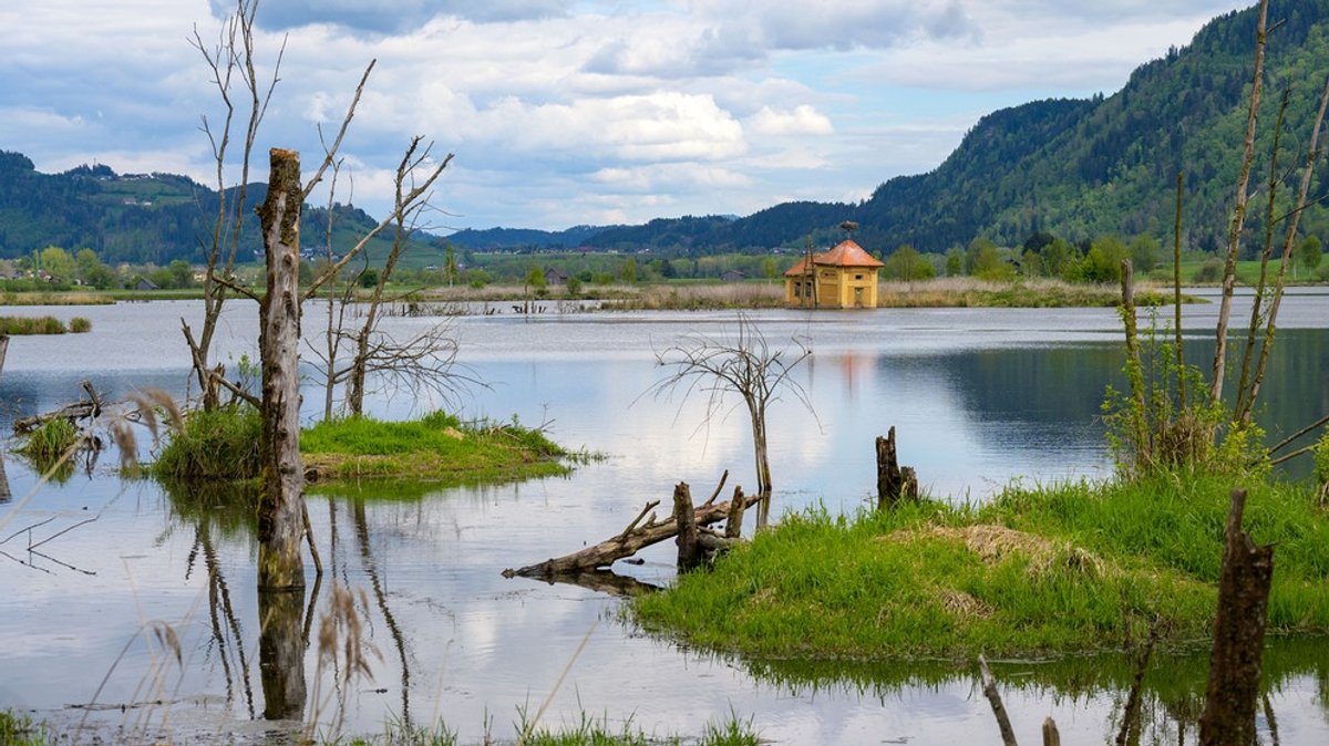 Slow Trail durch das Bleistätter Moor am Ossiacher See: Frühlingstour in Kärnten