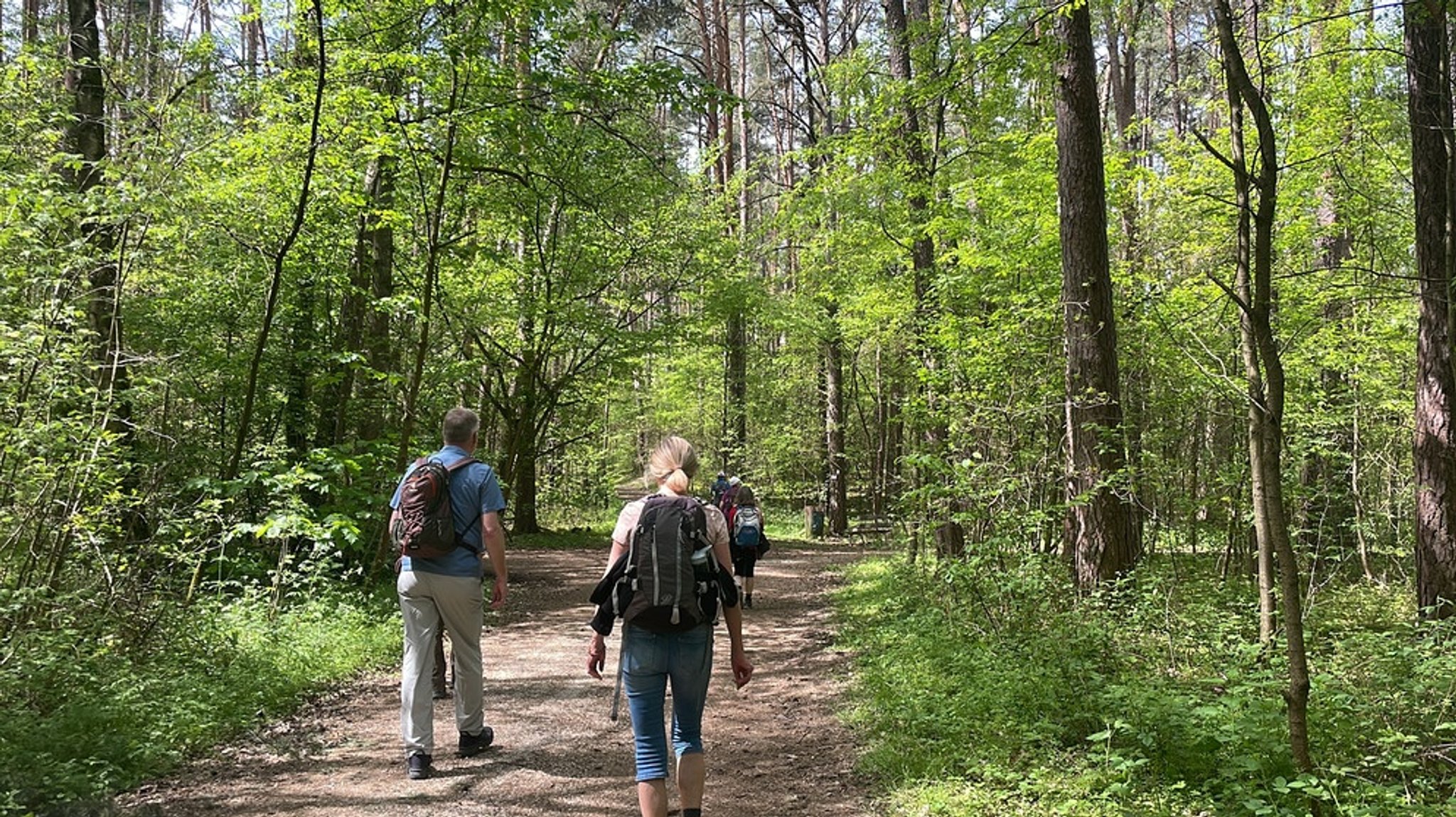 Der neue Lutherweg durch Mittelfranken: Pilgern auf protestantisch